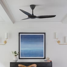 Haiku-L DC Ceiling Fan